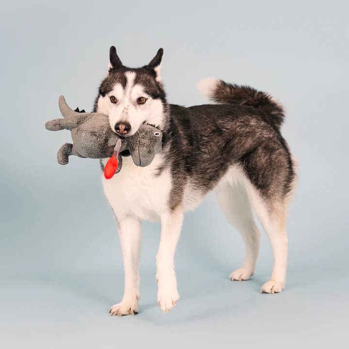 Pet Palette Distribution - Wholesale Pet Plush Toy - Dog - PetShop by Fringe Studio Rocker Rex Plush Dog Toy3