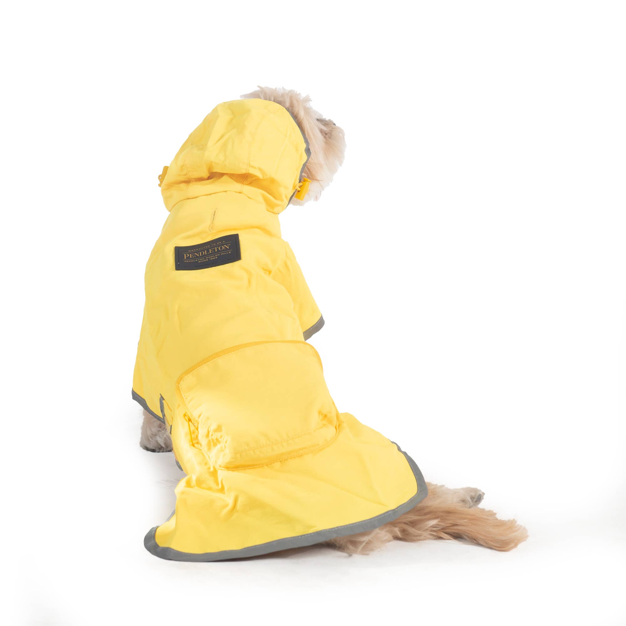 Carolina Pet Company - Vente Imperméable – chien - Manteau de pluie imperméable à capuche Pendleton et sac de transport pour chiens8