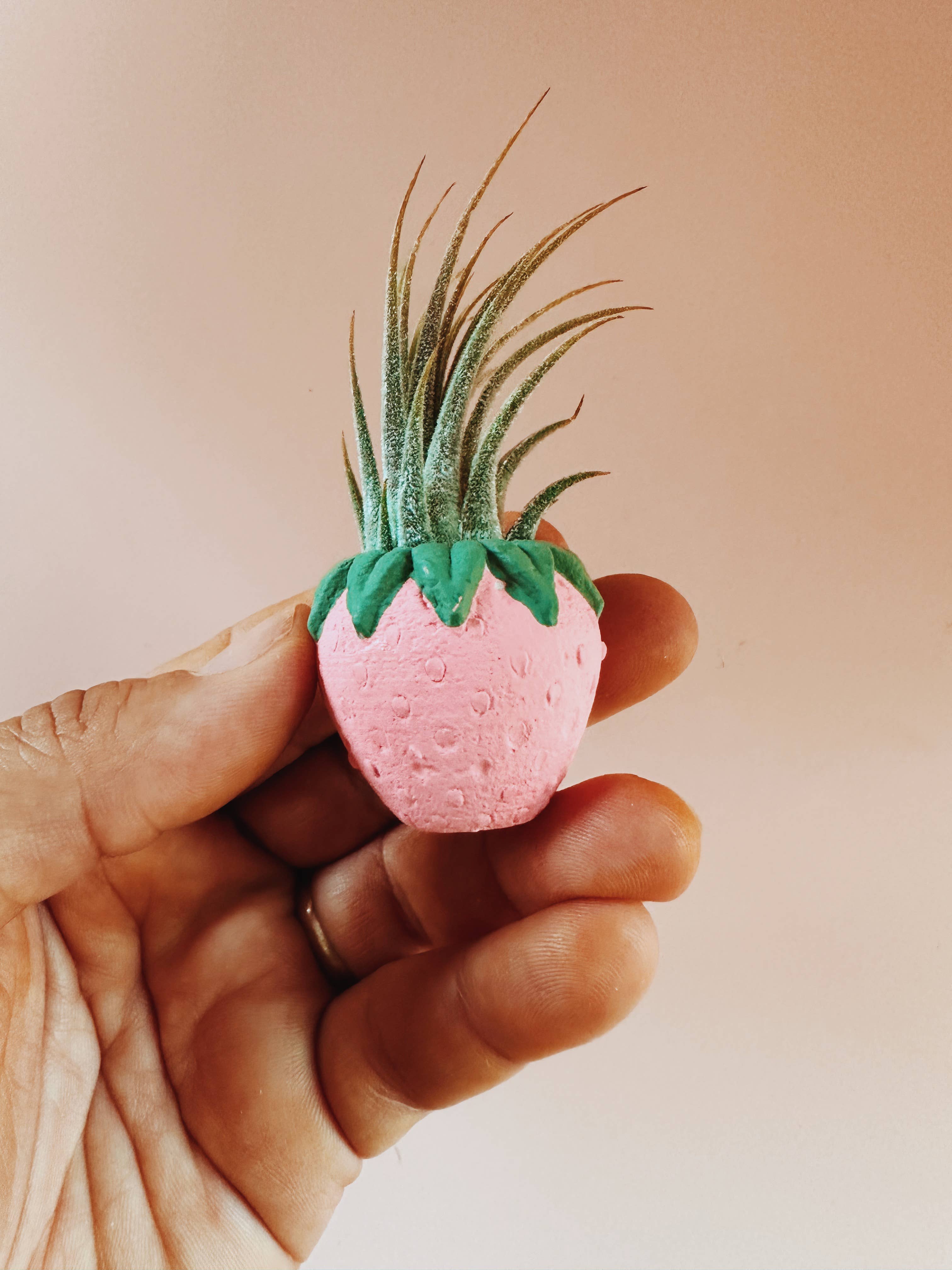 O'Berry's Succulents - Wholesale Plant Pot - Pink Strawberry Patch Mini Planter and Air Plant1
