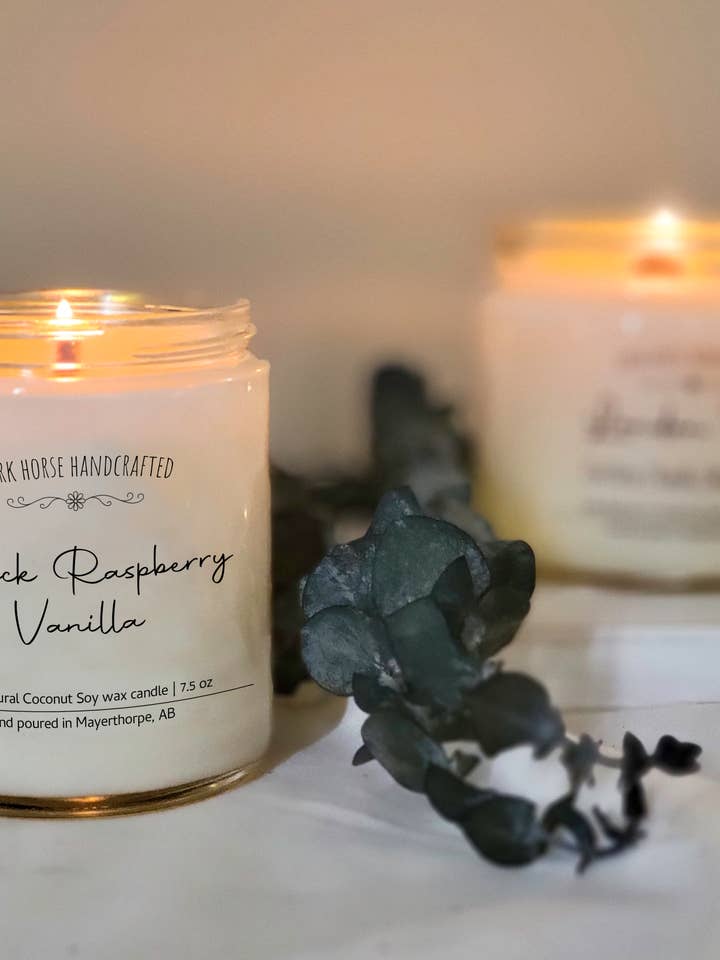 Black Raspberry Vanilla- 100% Natural Coconut Soy Wax Candle for wholesale by Dark Horse Handcrafted