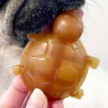 Vegetable & Peanut Butter Turtle Chew for Dogs for wholesale by The Pets Larder