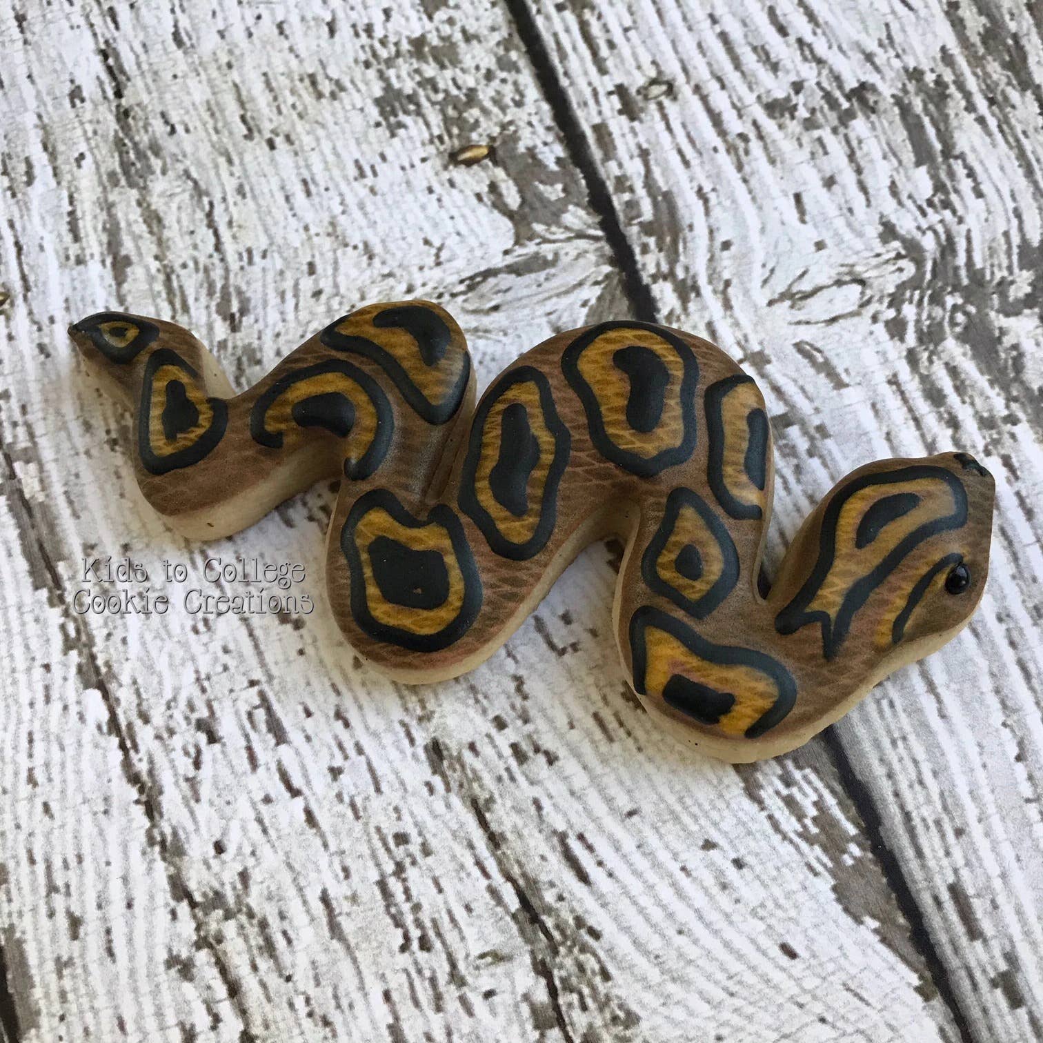 Summitbaking - Vente Emporte-pièce - Palm Pets Ensemble d'emporte-pièces Reptile7