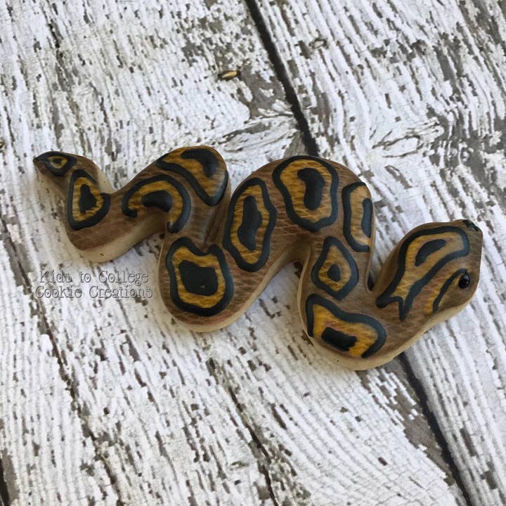 Summitbaking - Vente Emporte-pièce - Palm Pets Ensemble d'emporte-pièces Reptile7