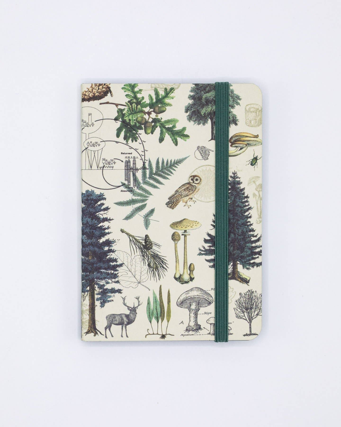 Cognitive Surplus - Wholesale Notebook - Into the Forest Observation Softcover (Case of 6)