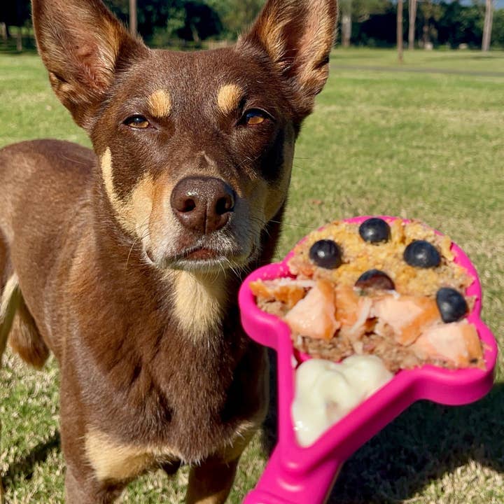 Rover Pet Products – wholesale Leksak - Hund – Lick Sticks – interaktiva berikningsverktyg för hundar14