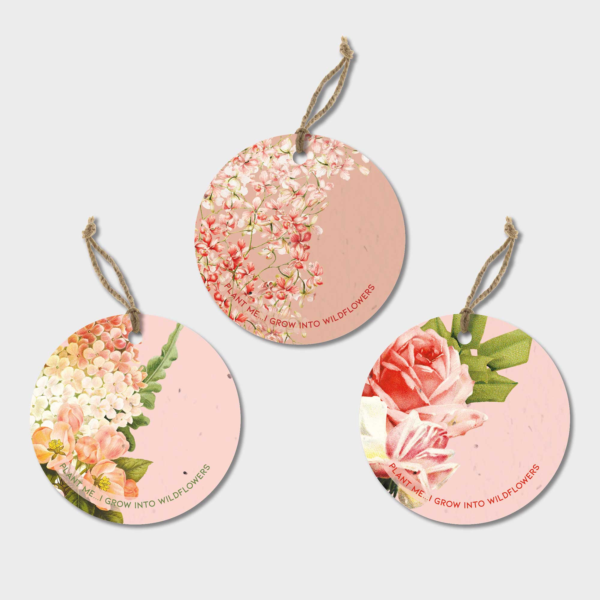 The Seed Card Company – wholesale Gift tag – DUSTY PINKS & PLASTER0