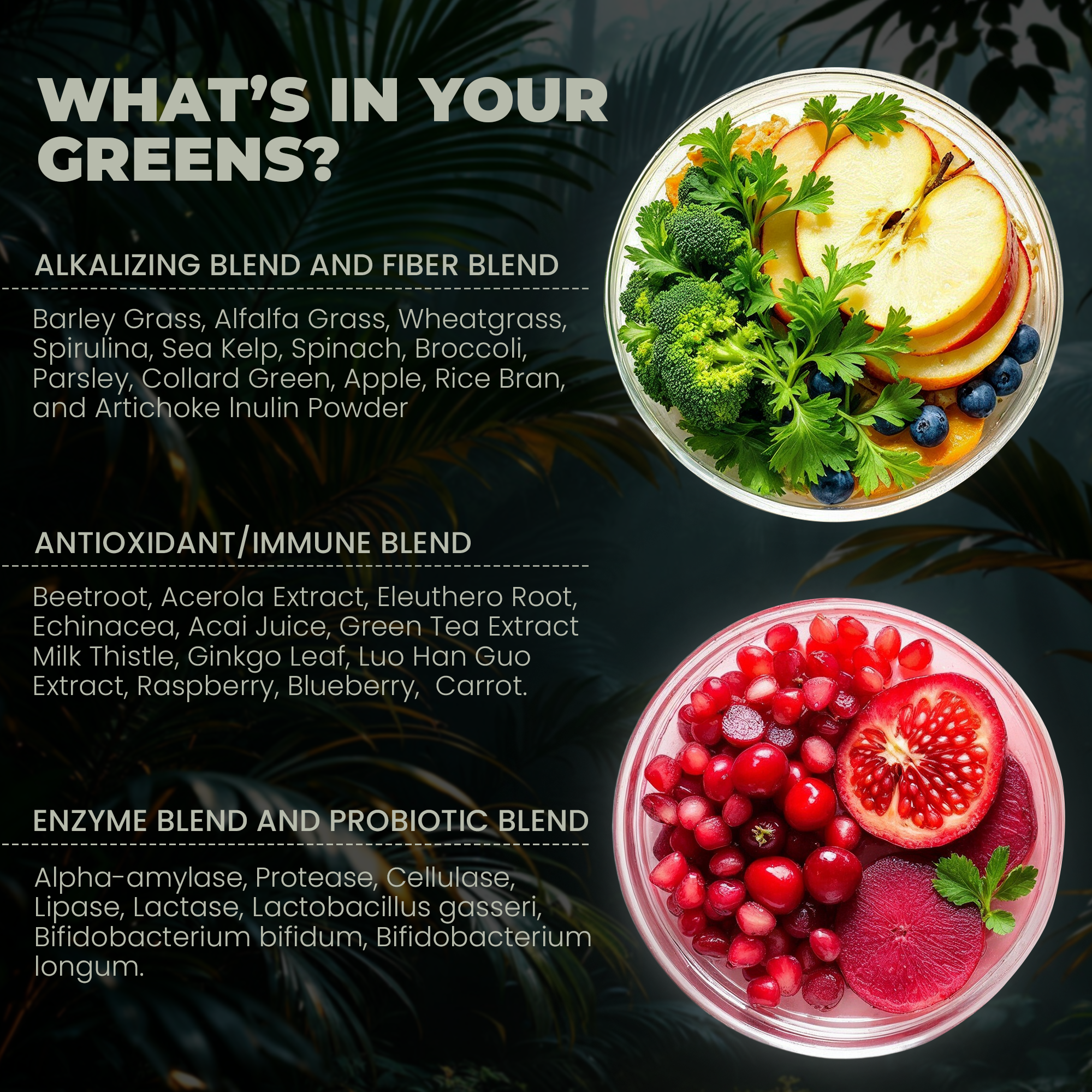 Chuga Shilajit - Wholesale Protein/Superfood Powder - Super Greens3