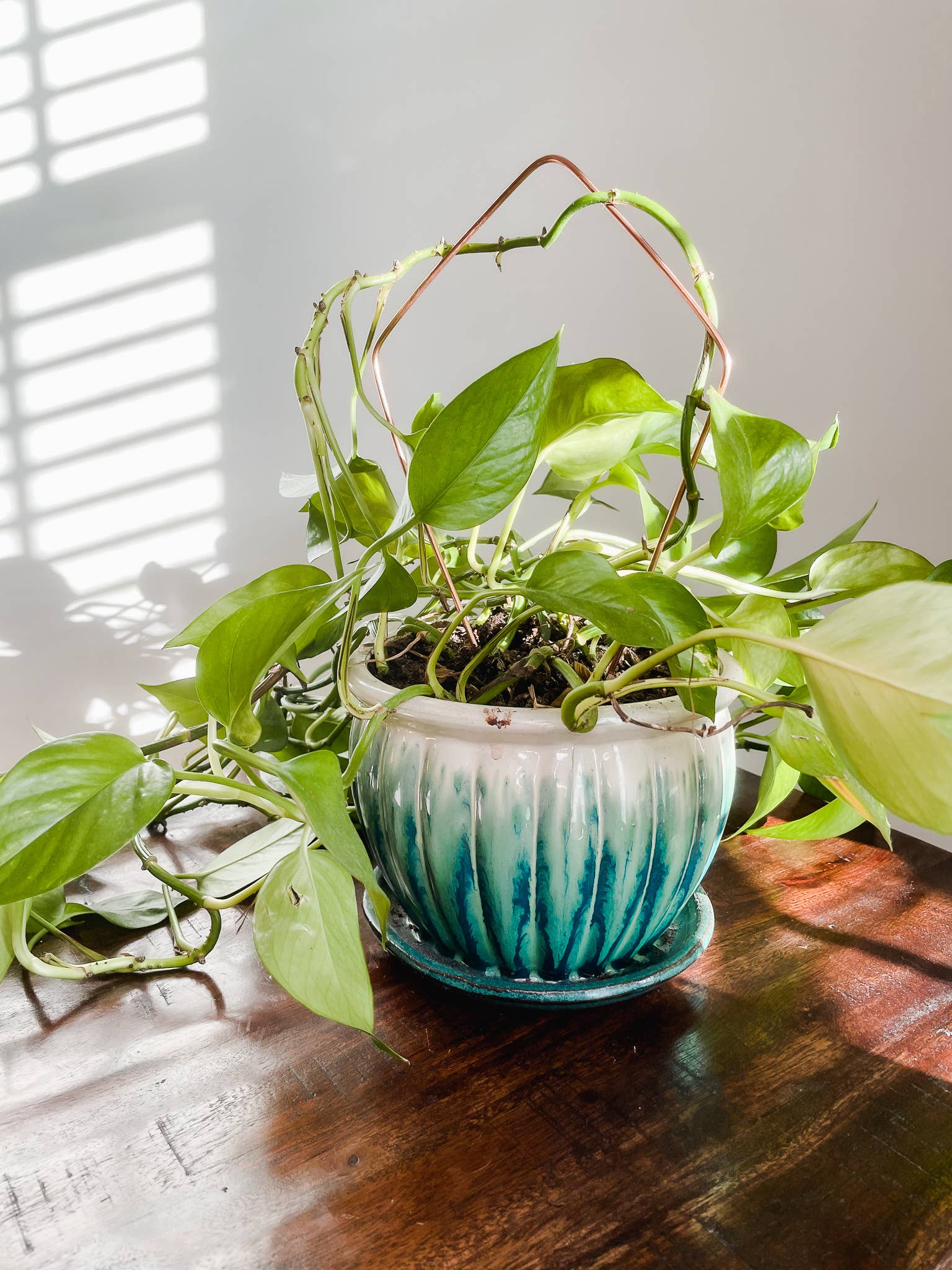 Above The Soil - Wholesale Trellis - Kite Copper Plant Trellis4