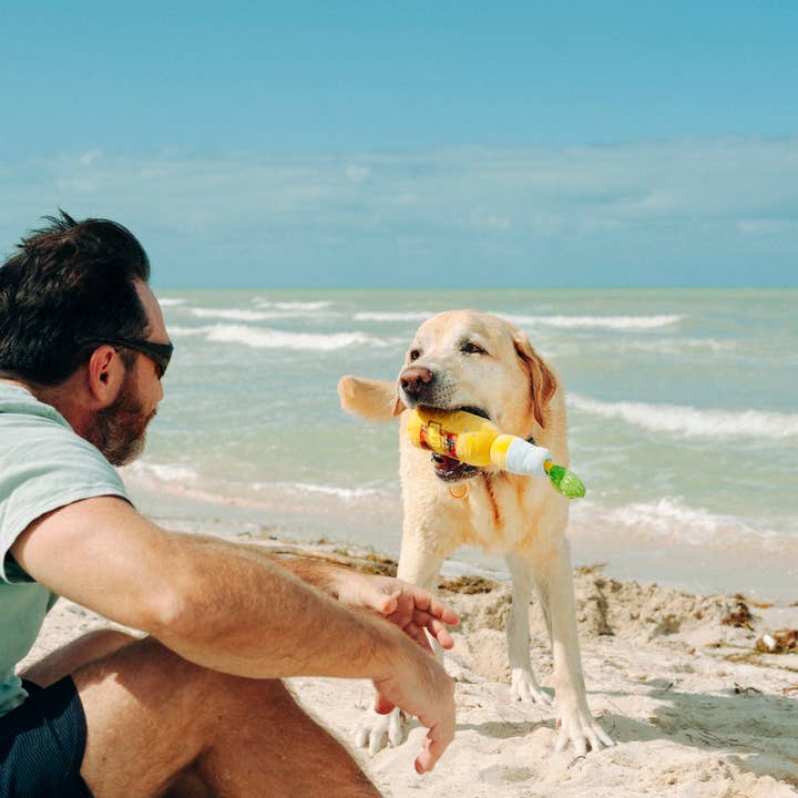 In Vogue Pets – wholesale Pet plush toy – Dog – Tropical Paradise Canine Cerveza3