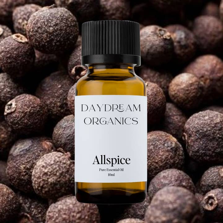 Allspice Essential Oil for wholesale by Daydream Organics | Prairie Doctor Brand