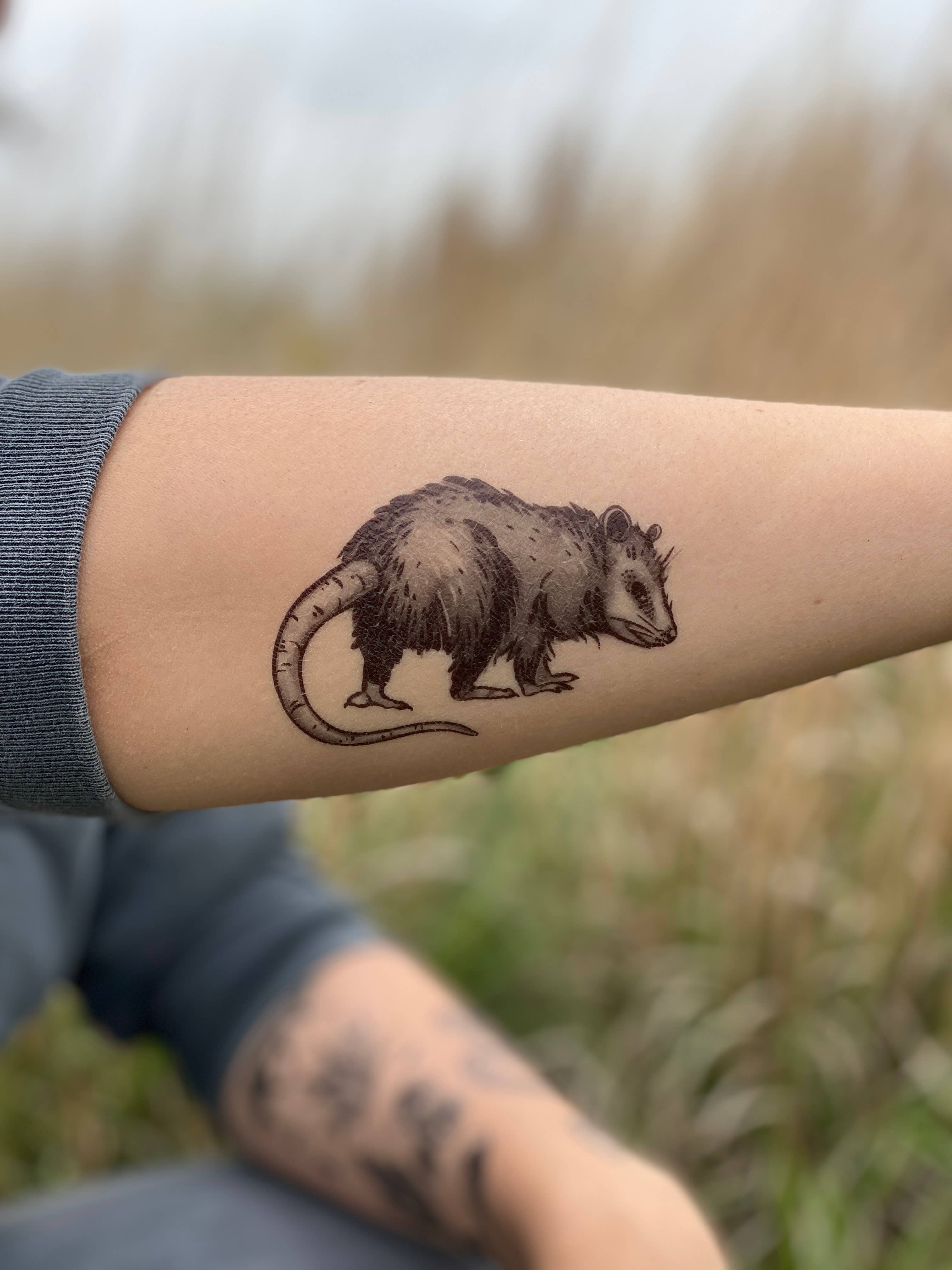 NatureTats - Wholesale Temporary Tattoo - Opossum Temporary Tattoo7
