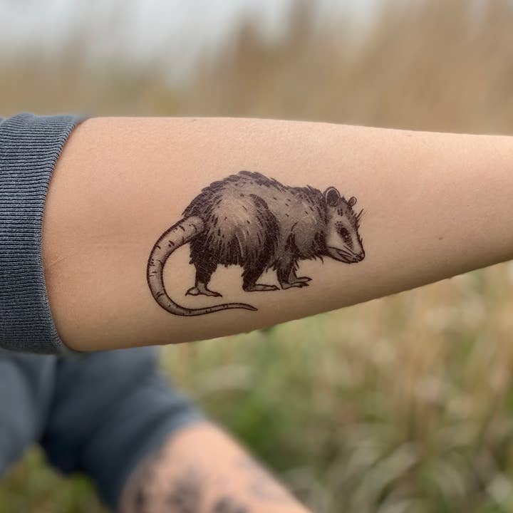 NatureTats - Wholesale Temporary Tattoo - Opossum Temporary Tattoo7