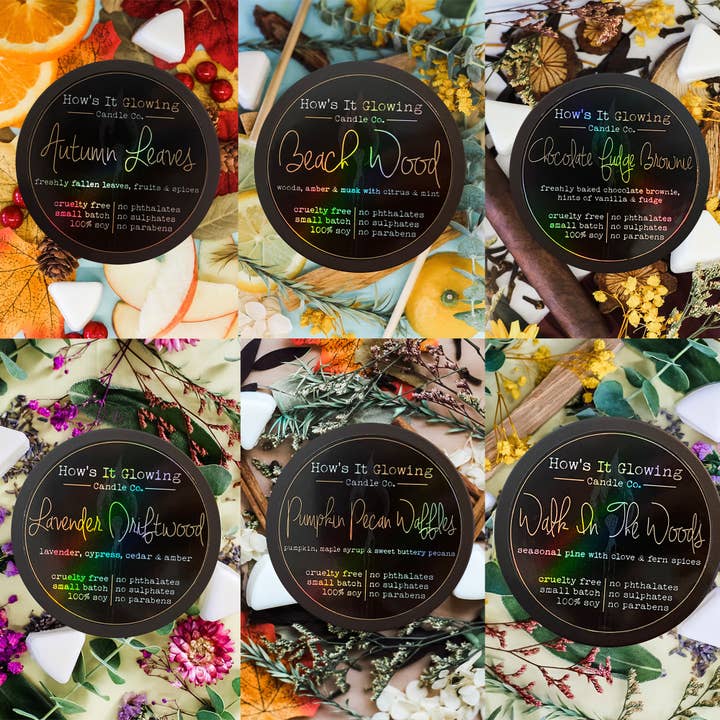 How's It Glowing Candle Co. - Wholesale Travel Candles - Please Don't Do Coke In Our Bathroom | Funny Soy Candle