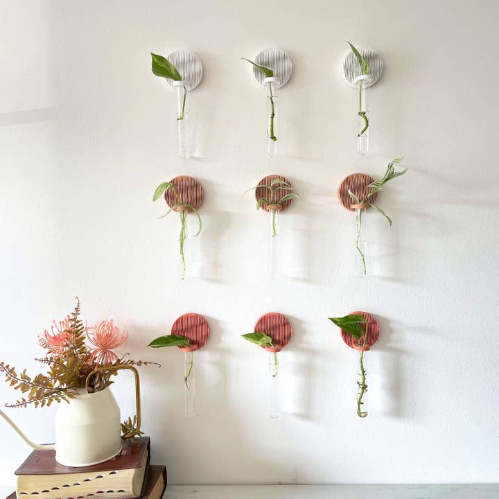 Sonnihaus - Wholesale Wall Planter - BADA (바다) Propagation Station