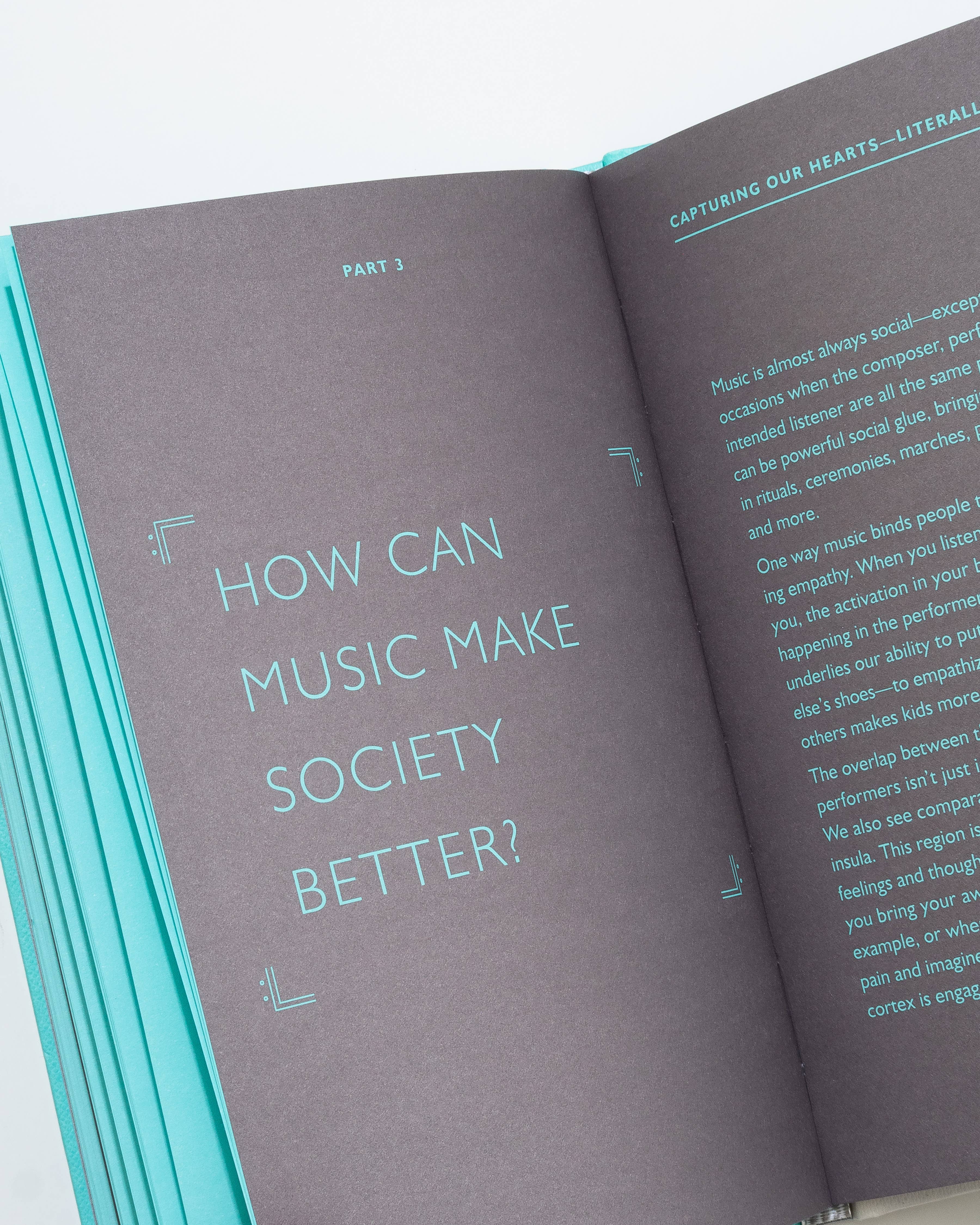 Chronicle Books - Wholesale Human & Cultural Studies - How Music Can Make You Better11