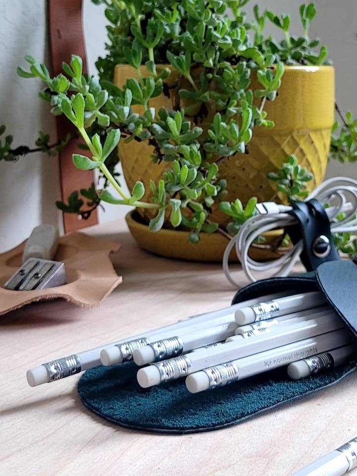 Stift- und Federmäppchen in gelb, grün, braun und schwarz für den Großhandel von normal Behaviour