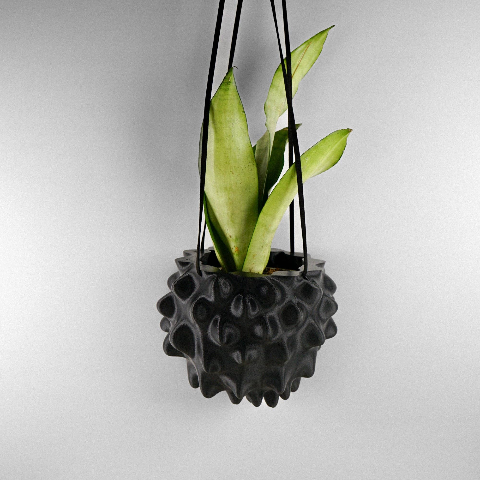Rosebud Homegoods - Wholesale Hanging Planter - Hanging Planter, Indoor 5 or 8 inch Pots, Maximalist Decor1