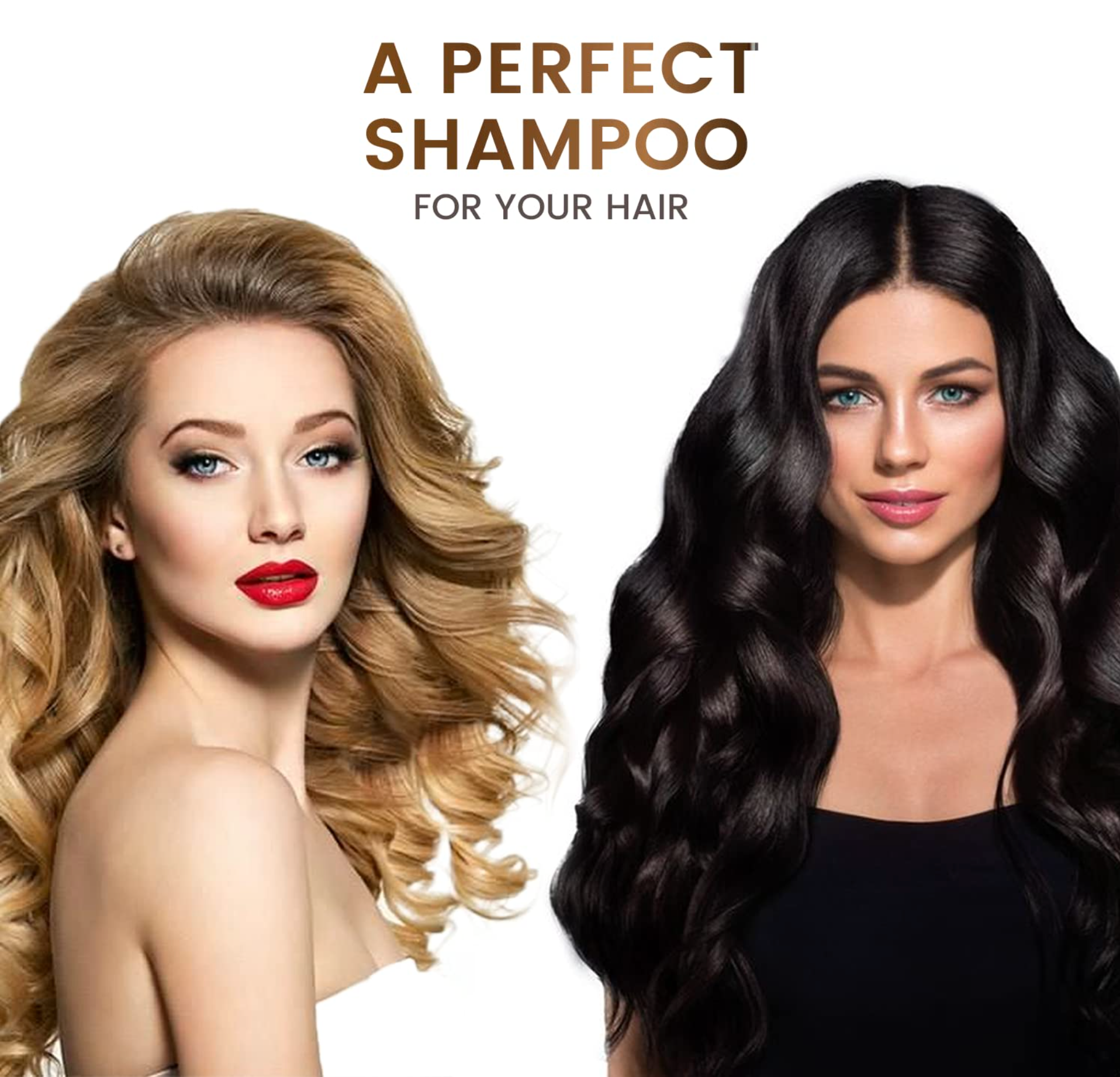 Max Green Alchemy - Wholesale Hair Shampoo - Scalp Rescue Shampoo Travel Size 12-pack (2.0 Fl Oz Ea)7