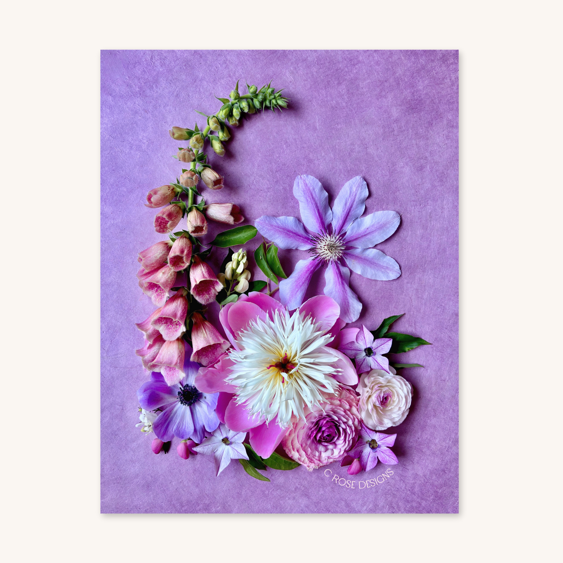 C Rose Designs – Engroshandel Klistermærke – Juno klistermærke0