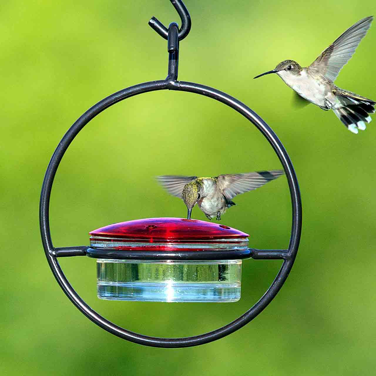 Couronne Co. - Wholesale Bird Feeder - Mosaic Birds Hummble Slim Hummingbird Feeder6