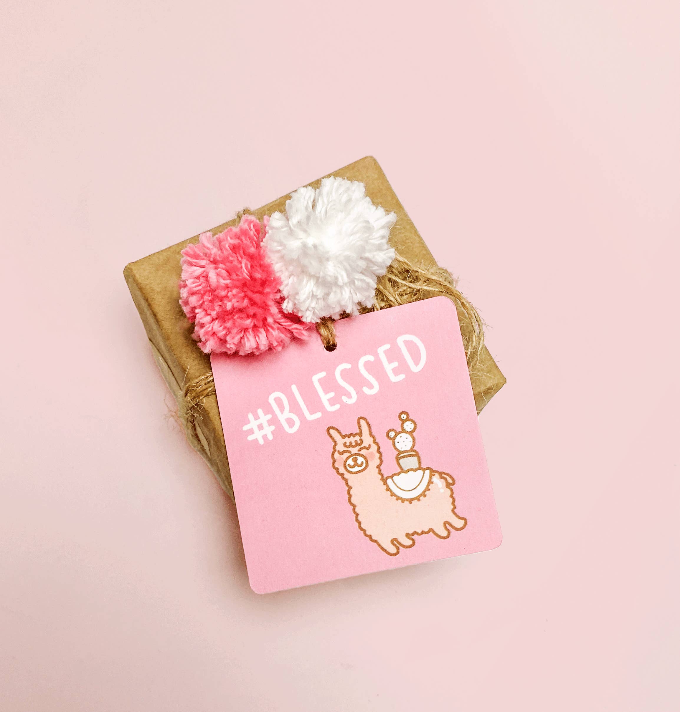 Planet Pods – Cartão de presente por atacado – Tags de presente: Ecológico, 100% papel reciclado pós-consumo