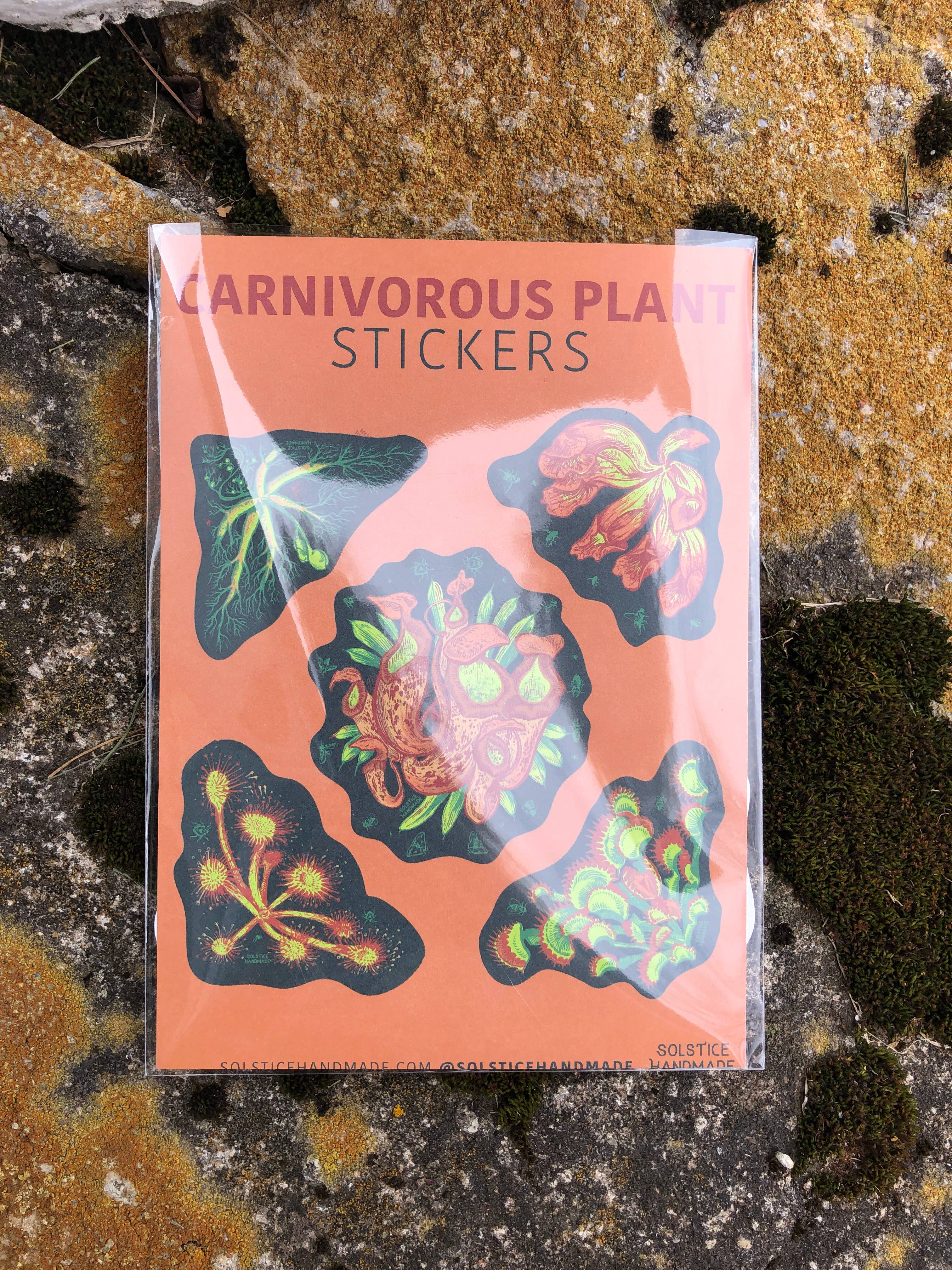Solstice Handmade – Großhandel Aufkleber – Aufkleberset für fleischfressende Pflanzen2