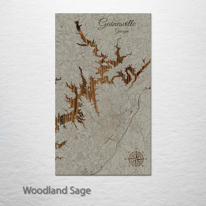 Fire & Pine - Wholesale Map - Georgia: Gainesville Street Map