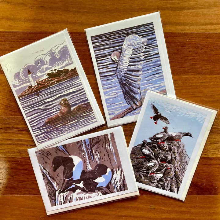 Card set: "Maine Coast" for wholesale by Sarah Drummond Art