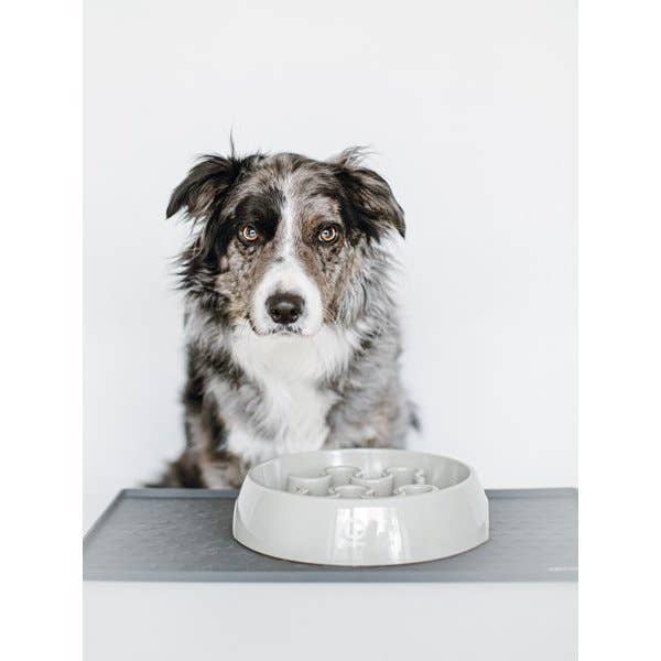 INOOKO - Wholesale Pet Bowl - Cat/Dog - Anti-Glouton Bowl - L - Sand1