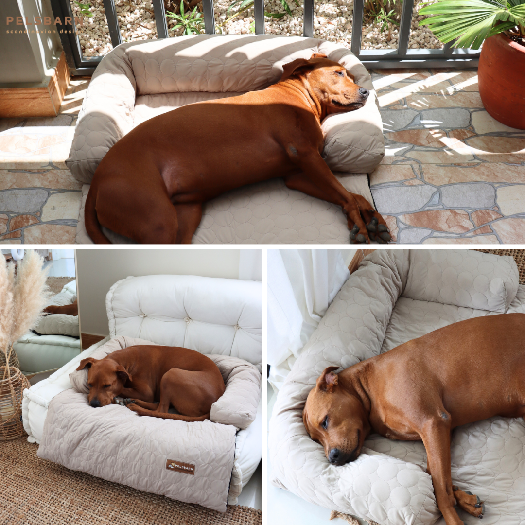 Pelsbarn - Wholesale Pet Bed - Dog - HeatRelief™ Cooling Dog Bed - Pelsbarn Helps Shelter Dogs!5