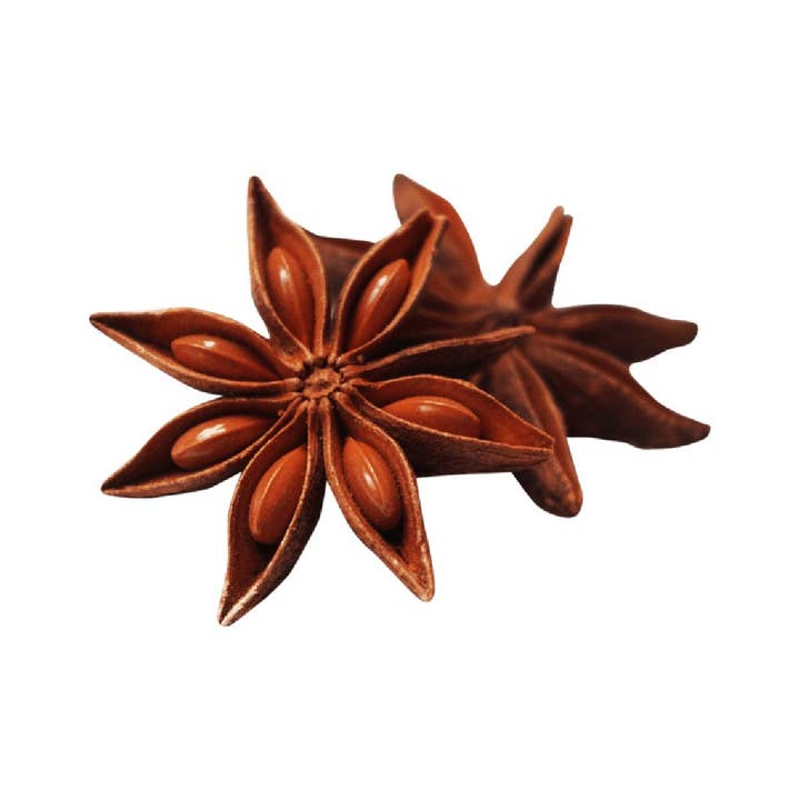 Aromae Essentials - Wholesale Essential oil - Aniseed Essential Oil (Star Anise) 12ml1