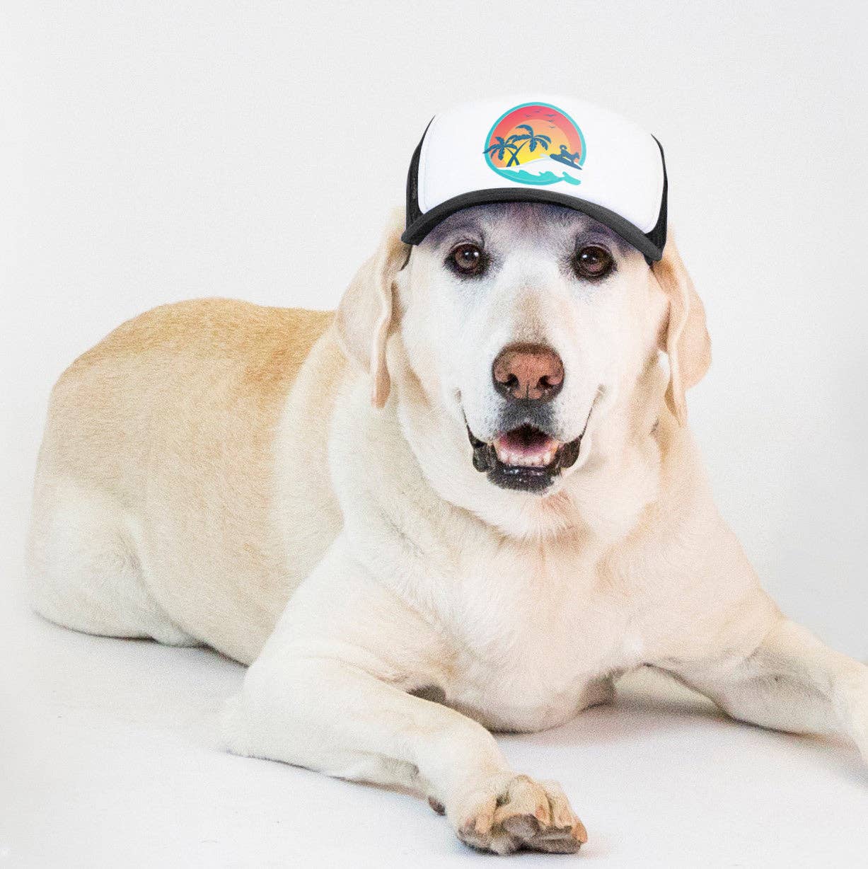 PupLid - Wholesale Pet Hat - Dog - Surfer Dog Standard or Namedrop | Trucker Hat for Dogs11