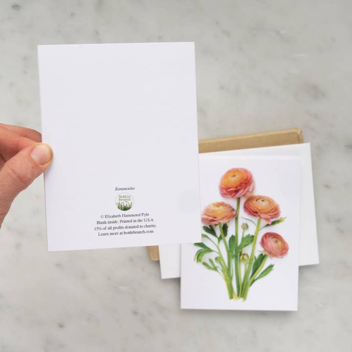 Bottle Branch – Engroshandel Hverdagshilsen kort – Kort - Ranunculus-kort2