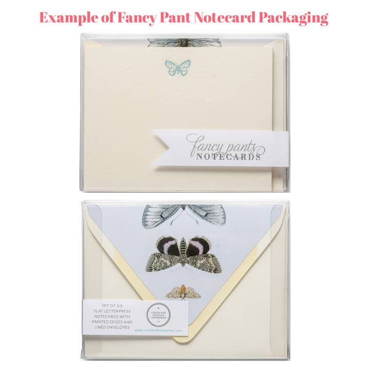 Color Box Design & Letterpress - Wholesale Stationery/Notecard Set - Anemone Flower | Fancy Pants Letterpress Flat Notecards
