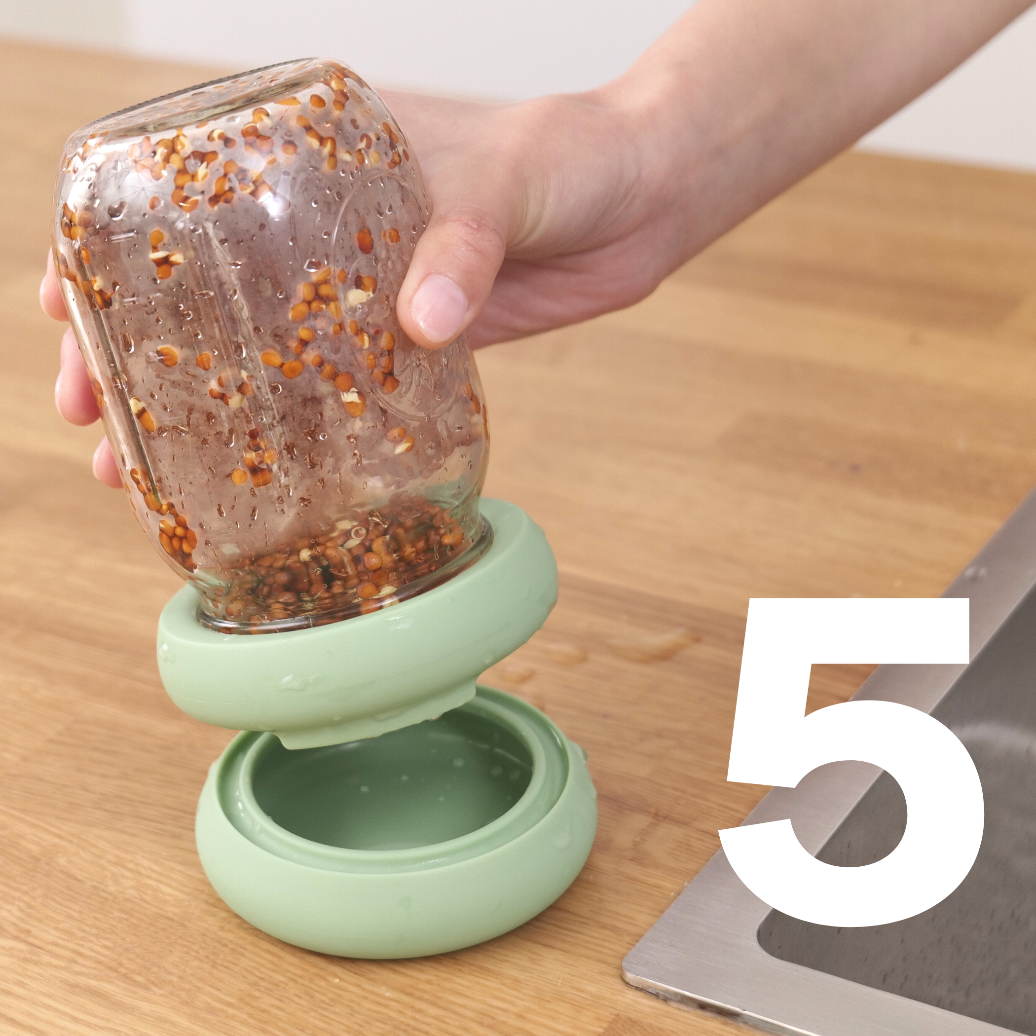 Eco warehouse - Wholesale Kitchen Tool/Gadget - Sprout Huggers ® Sage Green9