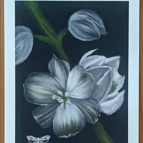 Yucca Flower and Yucca Moth Art Print for wholesale by LA Is Not A Desert