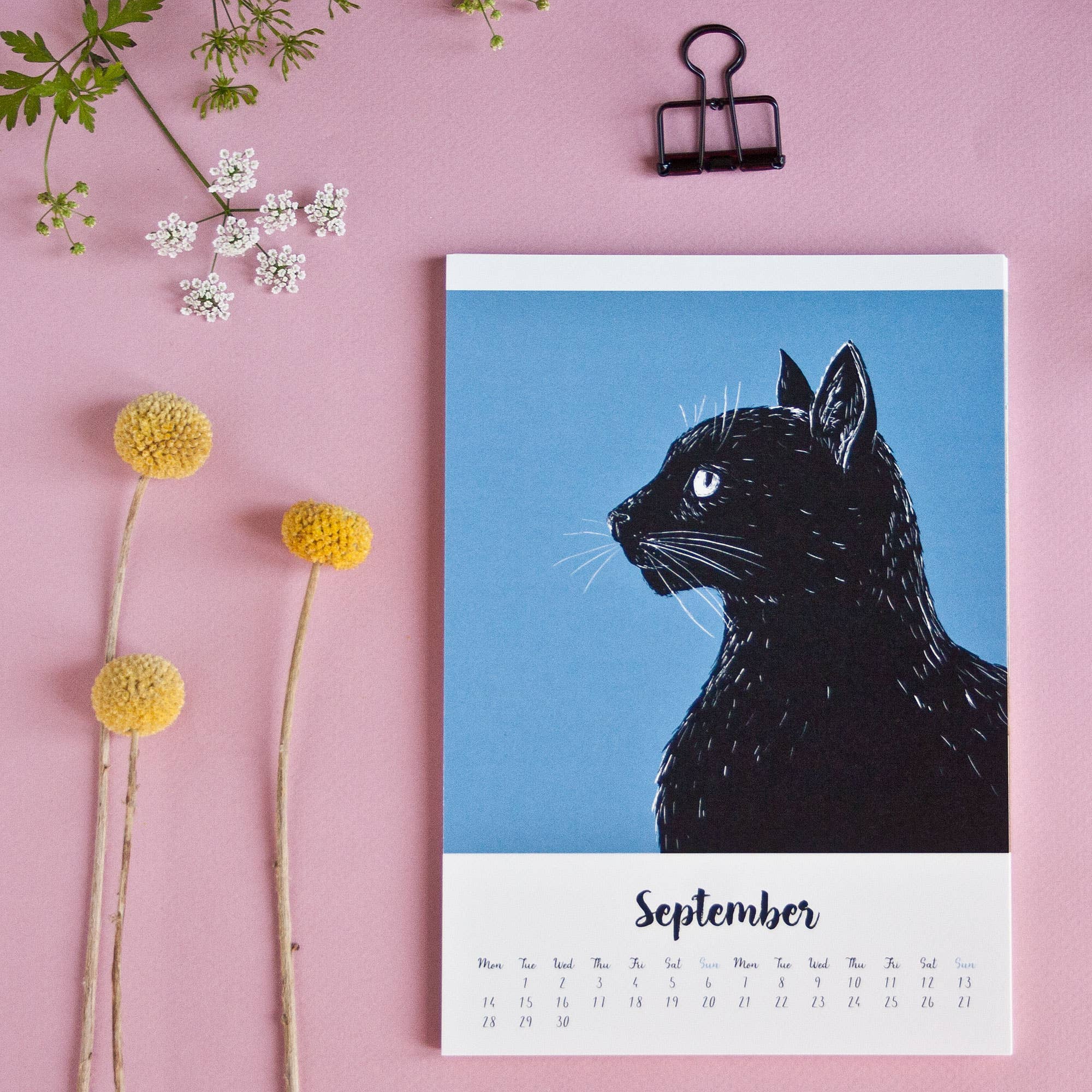 Katja Rub – Calendário por atacado – Calendário de Gatos 2026 no formato A5 (Calendário em inglês)5