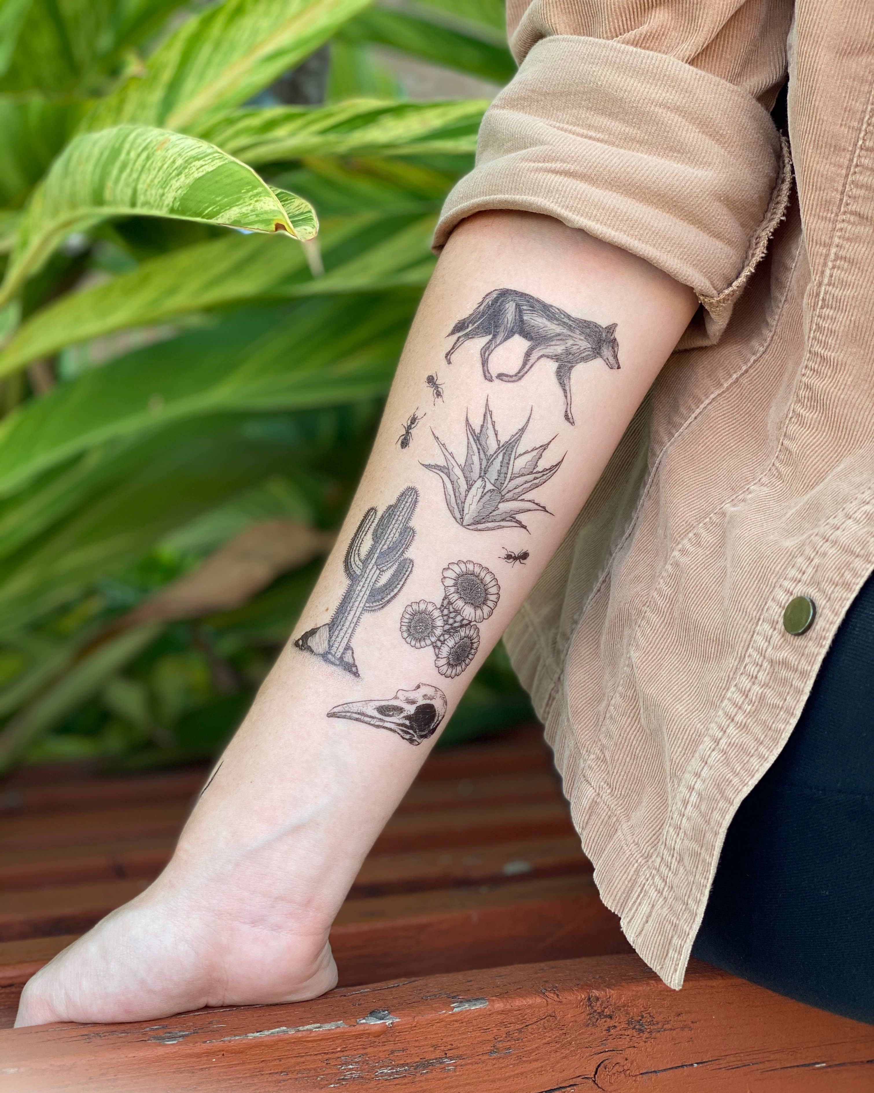 NatureTats - Vente Tatouages temporaires - Désert sauvage Tattoo Temporaire7