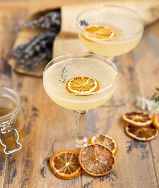 Zest Element - Wholesale Dried/dehydrated fruit - Dried Queensland Lemon slices1