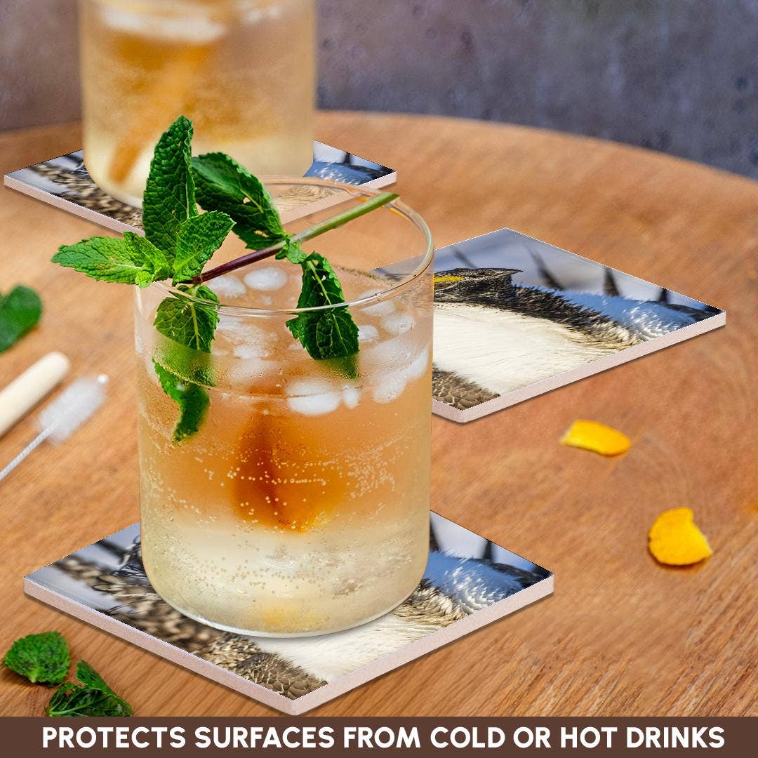 3dRose - Wholesale Coasters - 3dRose, USA, WY. Portrait of a male Greater Sage Grouse on a lek in Spring., Coaster2