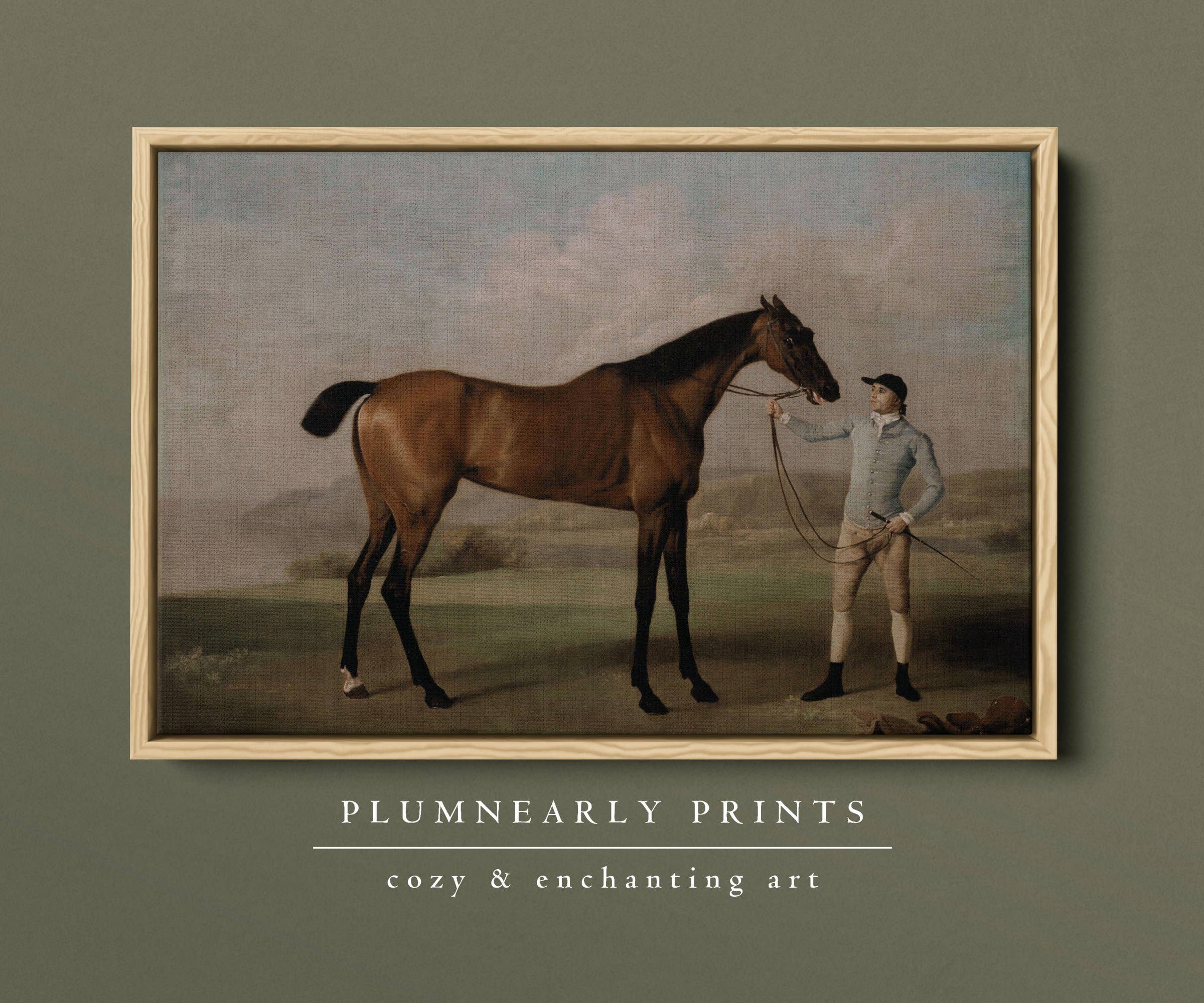 Plumnearly Prints - Wholesale Canvas Art - Vintage Horse Portrait Oil Painting Framed Canvas Art 11