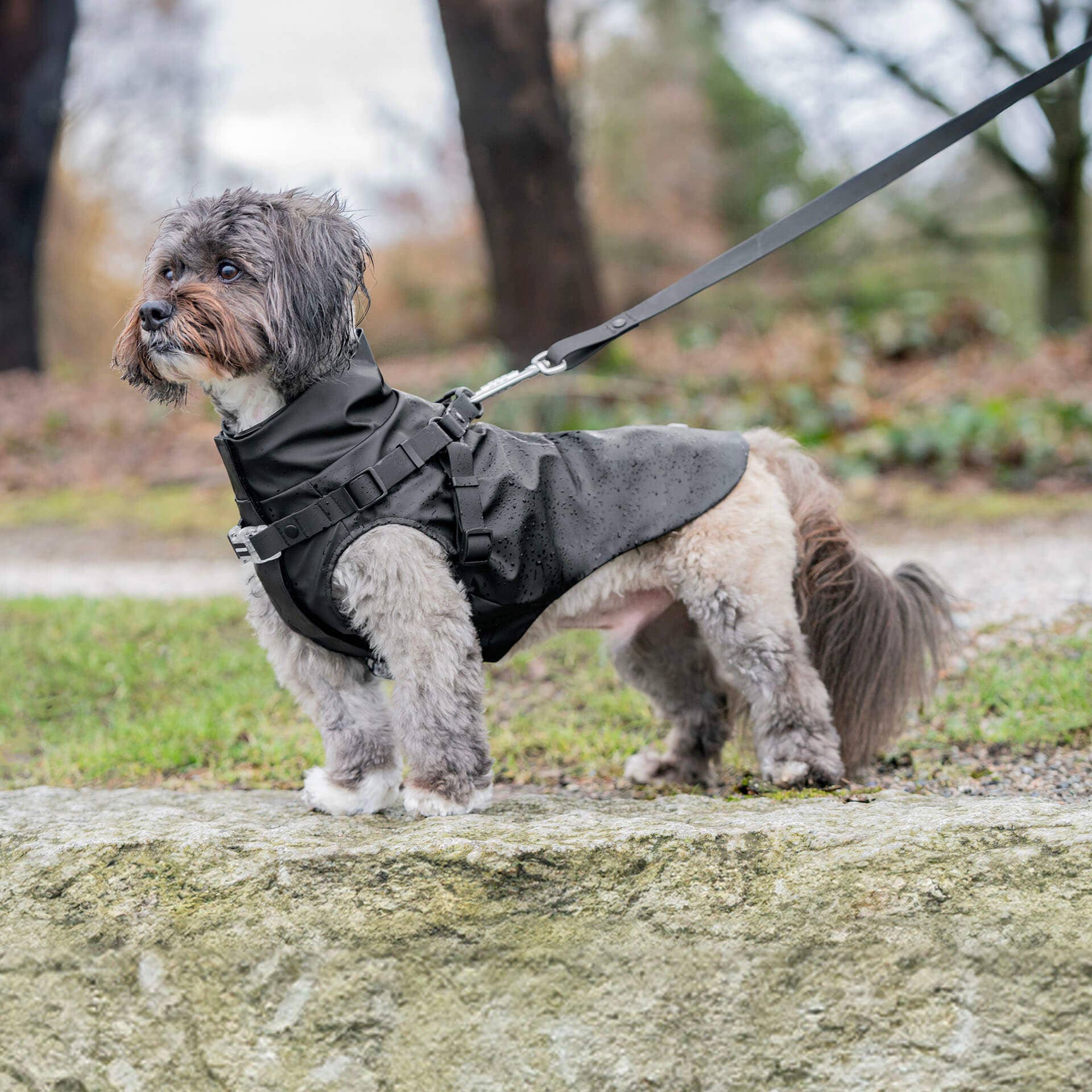 Canada Pooch - Vente Imperméable – chien - Imperméable harnais pour chien - manteau de pluie2