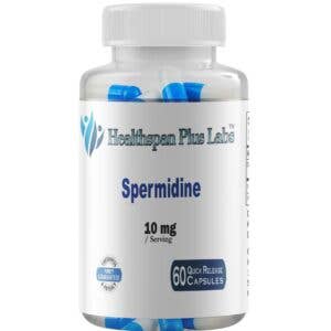 Spermidine for wholesale by Healthspan Plus Labs