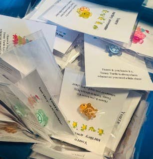 Boutique Unique - Wholesale Gag Gift/Novelty Gift - Turtely Awesome!1