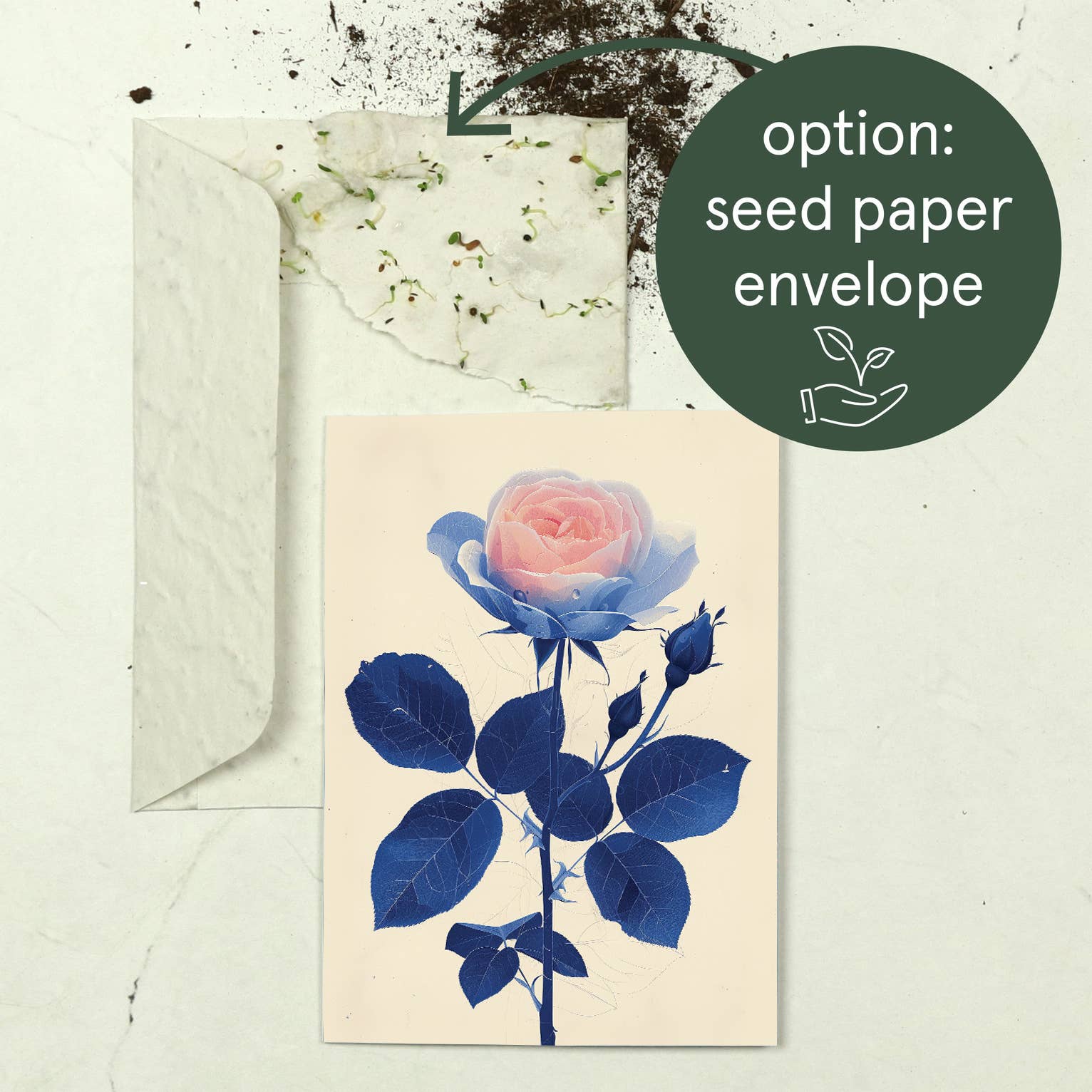 Botanopia - gifts , decor and cards for plant lovers – Engroshandel Fødselsdagskort – Rose | Hverdagskort | Fødselsdagskort med månedsblomst8