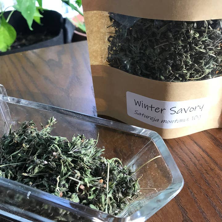 Salgados de Inverno Biológicos, Satureja montana, Medicina Herbácea Cultivada Sustentável Canadiana por atacado de Little Piece of Paradise Farm Inc.