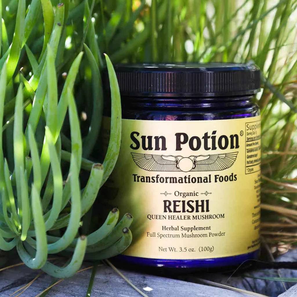 Sun Potion - Vendita all'ingrosso Proteine/superfood in polvere - Polvere di Funghi Reishi (Biologica)1