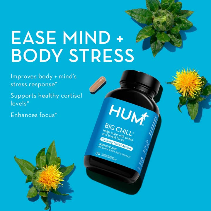 Hum Nutrition - Wholesale Oral Supplement/Vitamin - BIG CHILL CAPSULES FOR REDUCING STRESS SYMPTOMS6