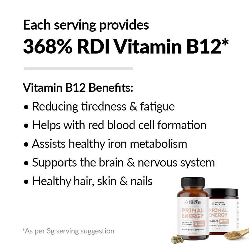 Ancestral Nutrition Pty Ltd - Wholesale Oral Supplement/Vitamin - Primal Energy Women - Grass Fed Beef Organ Powder (Box of 6)5