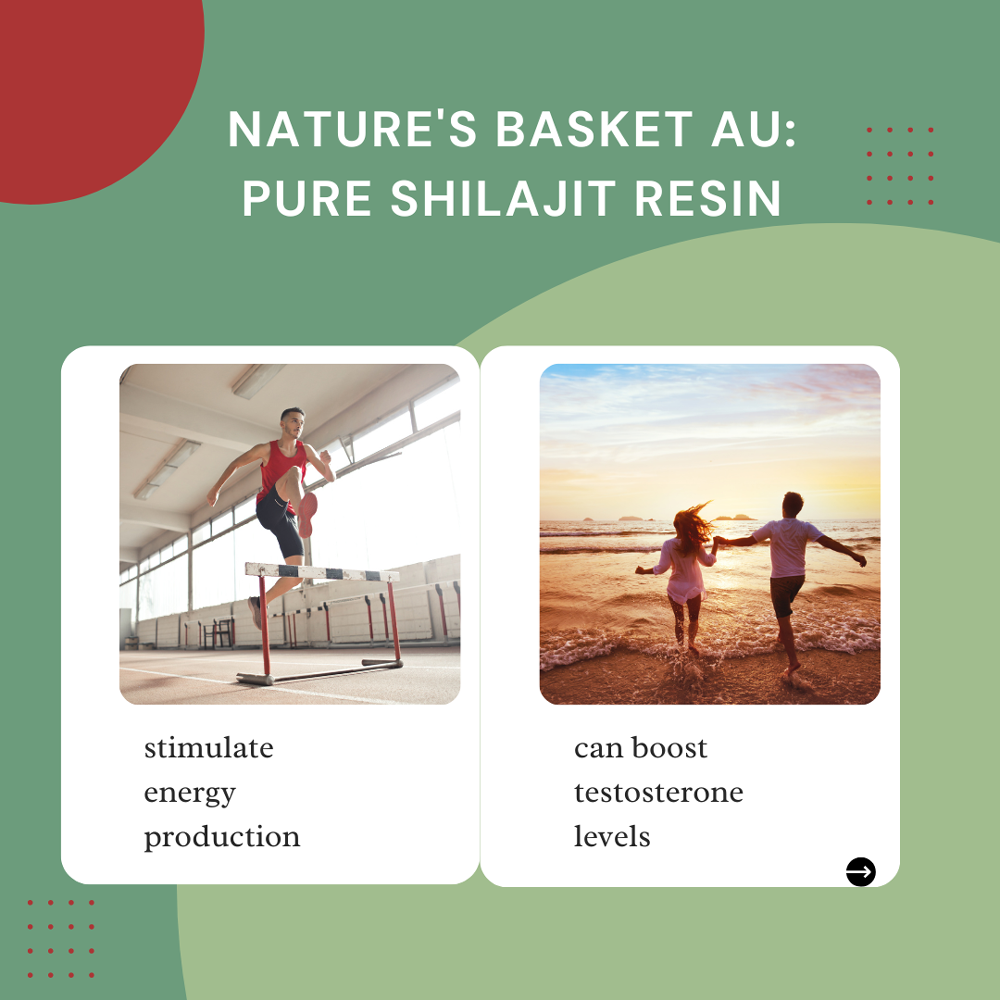 Natures Basket - Wholesale Oral Supplement/Vitamin - Pure Himalayan Shilajit Resin lab tested with B12 (25 Grams)5